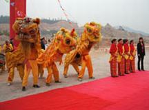 醒獅舞龍5